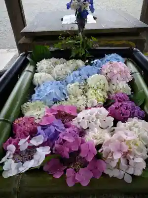 大鳥神社の手水舎