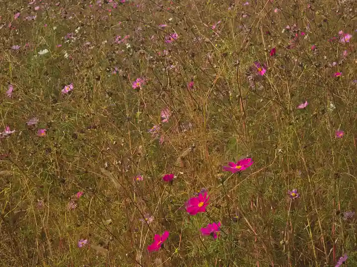 達身寺(兵庫県)