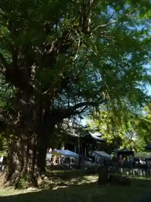 鑁阿寺のその他建物