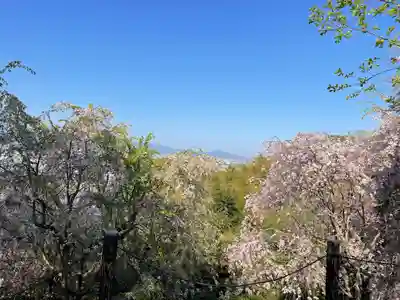 大神神社(奈良県)