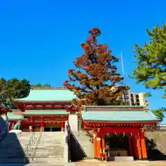 五社神社　諏訪神社の建物その他