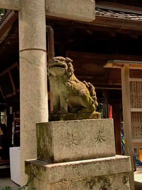 白雲神社の狛犬