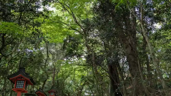 宇佐神宮の自然
