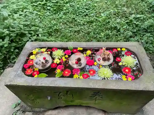 前玉神社の手水