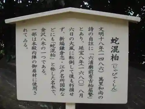 瀬戸神社の歴史