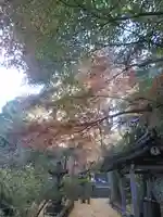 安國論寺(安国論寺)の景色
