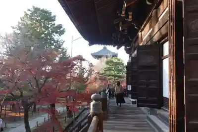 真正極楽寺(真如堂)(京都府)