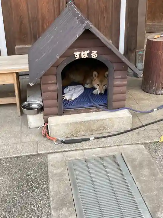 感通寺(東京都)