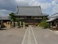 常観寺の本殿・本堂