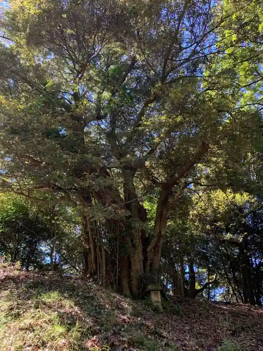 熊野神社(千葉県)