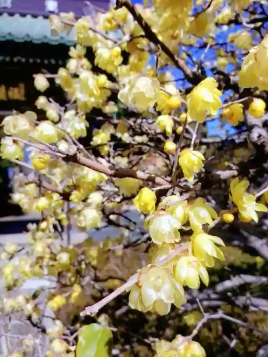 福蔵院(東京都)