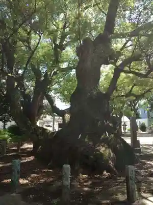 八柱神社(愛知県)