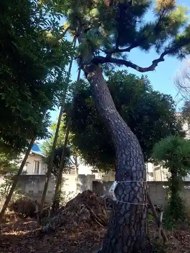 西小松川天祖神社(東京都)