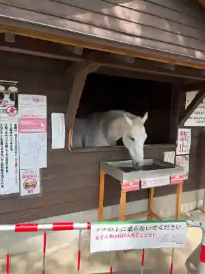 鹿児島神宮の{uncategorized: "未分類", other: "その他", undefined: "問題あり", building: "その他建物", grave: "お墓", sacred_gate: "鳥居", guardian: "狛犬", statue: "像", buddha: "仏像", history: "歴史", nature: "自然", garden: "庭園", animal: "動物", pagoda: "塔", temizu: "手水舎", mountain_gate: "山門・神門", sanctuary: "本殿・本堂", subordinate: "末社・摂社", art: "芸術", scenery: "景色", jizo: "地蔵", ema: "絵馬", goshuin: "御朱印", omikuji: "おみくじ", items: "授与品その他", amulet: "お守り", goshuincho: "御朱印帳", eats: "食事", festival: "お祭り", votive_dance: "神楽", shichigosan: "七五三参", wedding: "結婚式", experience: "体験その他", initially: "初詣", around: "周辺", anti_infection: "感染症対策"}