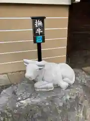 壬生寺の狛犬