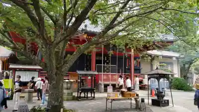 楽法寺(雨引観音)の本殿・本堂