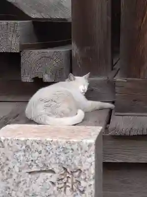 羽黒神社(岡山県)