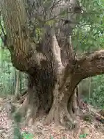 相馬高神社(千葉県)
