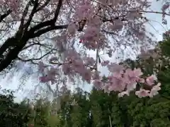 清雲寺の自然