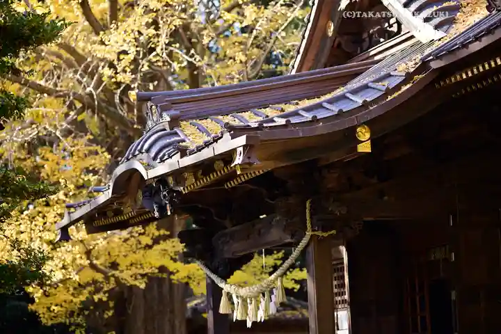 玉敷神社(埼玉県)