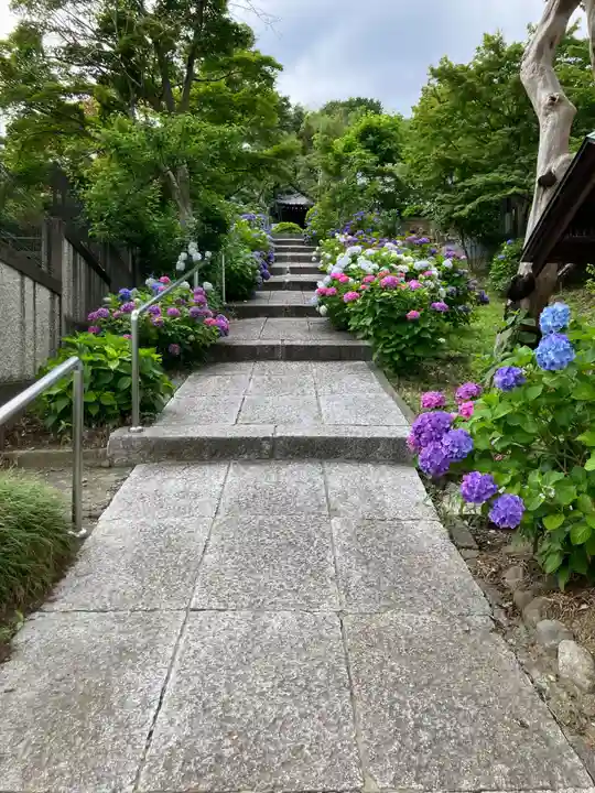 妙覚寺(東京都)