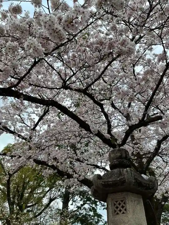 富士山本宮浅間大社の自然