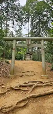 高麗神社の{uncategorized: "未分類", other: "その他", undefined: "問題あり", building: "その他建物", grave: "お墓", sacred_gate: "鳥居", guardian: "狛犬", statue: "像", buddha: "仏像", history: "歴史", nature: "自然", garden: "庭園", animal: "動物", pagoda: "塔", temizu: "手水舎", mountain_gate: "山門・神門", sanctuary: "本殿・本堂", subordinate: "末社・摂社", art: "芸術", scenery: "景色", jizo: "地蔵", ema: "絵馬", goshuin: "御朱印", omikuji: "おみくじ", items: "授与品その他", amulet: "お守り", goshuincho: "御朱印帳", eats: "食事", festival: "お祭り", votive_dance: "神楽", shichigosan: "七五三参", wedding: "結婚式", experience: "体験その他", initially: "初詣", around: "周辺", anti_infection: "感染症対策"}