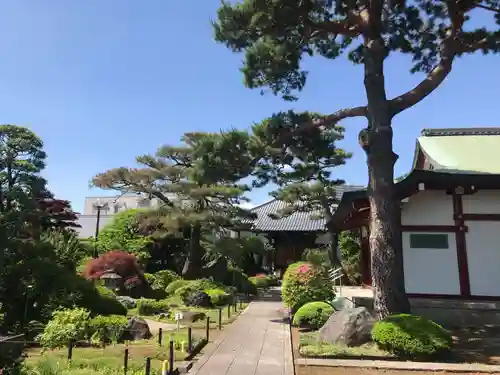 善明寺の庭園