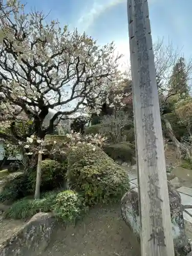 貴雲寺の{uncategorized: "未分類", other: "その他", undefined: "問題あり", building: "その他建物", grave: "お墓", sacred_gate: "鳥居", guardian: "狛犬", statue: "像", buddha: "仏像", history: "歴史", nature: "自然", garden: "庭園", animal: "動物", pagoda: "塔", temizu: "手水舎", mountain_gate: "山門・神門", sanctuary: "本殿・本堂", subordinate: "末社・摂社", art: "芸術", scenery: "景色", jizo: "地蔵", ema: "絵馬", goshuin: "御朱印", omikuji: "おみくじ", items: "授与品その他", amulet: "お守り", goshuincho: "御朱印帳", eats: "食事", festival: "お祭り", votive_dance: "神楽", shichigosan: "七五三参", wedding: "結婚式", experience: "体験その他", initially: "初詣", around: "周辺", anti_infection: "感染症対策"}