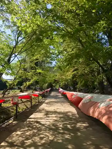 醍醐寺(京都府)