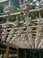 川越氷川神社(埼玉県)