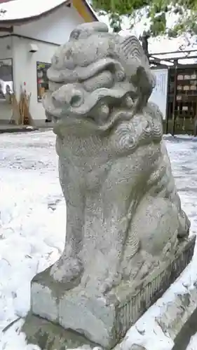 大徳寺の狛犬