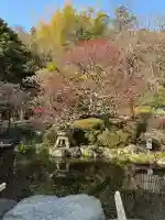 長谷寺の{uncategorized: "未分類", other: "その他", undefined: "問題あり", building: "その他建物", grave: "お墓", sacred_gate: "鳥居", guardian: "狛犬", statue: "像", buddha: "仏像", history: "歴史", nature: "自然", garden: "庭園", animal: "動物", pagoda: "塔", temizu: "手水舎", mountain_gate: "山門・神門", sanctuary: "本殿・本堂", subordinate: "末社・摂社", art: "芸術", scenery: "景色", jizo: "地蔵", ema: "絵馬", goshuin: "御朱印", omikuji: "おみくじ", items: "授与品その他", amulet: "お守り", goshuincho: "御朱印帳", eats: "食事", festival: "お祭り", votive_dance: "神楽", shichigosan: "七五三参", wedding: "結婚式", experience: "体験その他", initially: "初詣", around: "周辺", anti_infection: "感染症対策"}