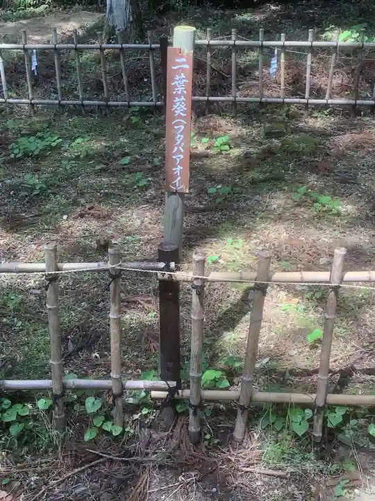 八幡神社松平東照宮(愛知県)