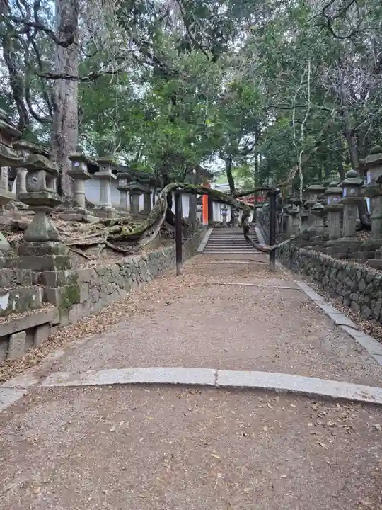春日大社(奈良県)