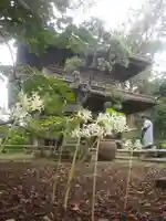 英勝寺のその他建物