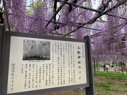 玉敷神社(埼玉県)