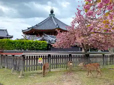興福寺 南円堂のその他建物
