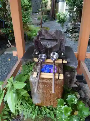 日限地蔵尊 観音院の狛犬