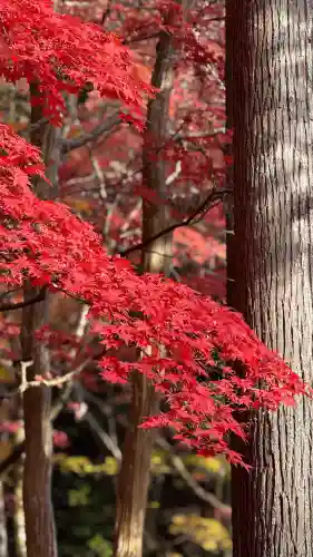 鶏足寺(滋賀県)