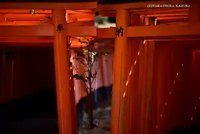 伏見稲荷大社(京都府)