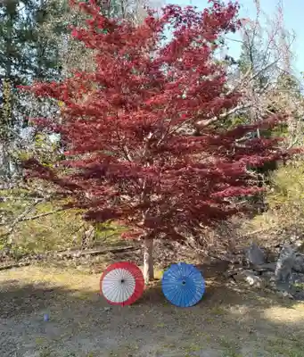 萬松山大雄寺(宮城県)