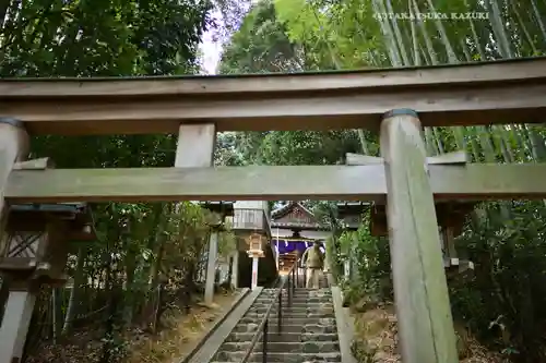  久延彦神社(奈良県)