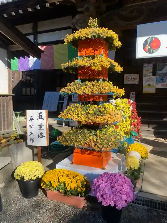 一乗院(身代不動尊) (茨城県)