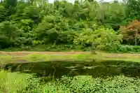 郡殿の池弁財天社(新潟県)