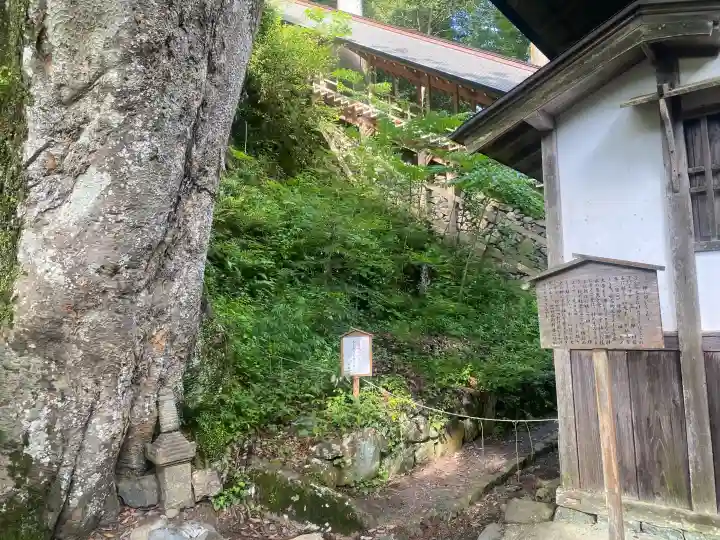 丹生川上神社(下社)の{uncategorized: "未分類", other: "その他", undefined: "問題あり", building: "その他建物", grave: "お墓", sacred_gate: "鳥居", guardian: "狛犬", statue: "像", buddha: "仏像", history: "歴史", nature: "自然", garden: "庭園", animal: "動物", pagoda: "塔", temizu: "手水舎", mountain_gate: "山門・神門", sanctuary: "本殿・本堂", subordinate: "末社・摂社", art: "芸術", scenery: "景色", jizo: "地蔵", ema: "絵馬", goshuin: "御朱印", omikuji: "おみくじ", items: "授与品その他", amulet: "お守り", goshuincho: "御朱印帳", eats: "食事", festival: "お祭り", votive_dance: "神楽", shichigosan: "七五三参", wedding: "結婚式", experience: "体験その他", initially: "初詣", around: "周辺", anti_infection: "感染症対策"}