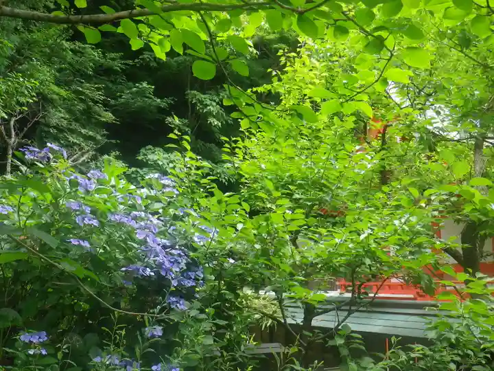 荏柄天神社の自然