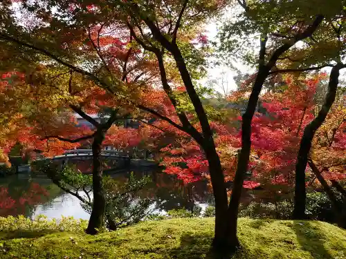 禅林寺（永観堂）の庭園