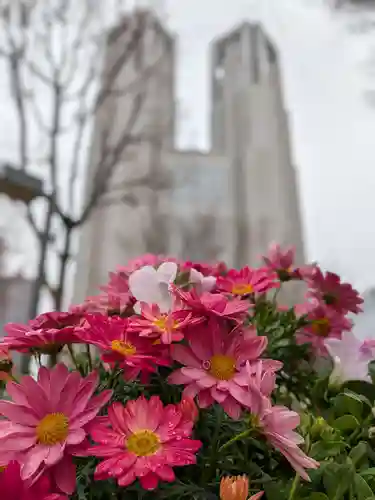 熊野神社(東京都)