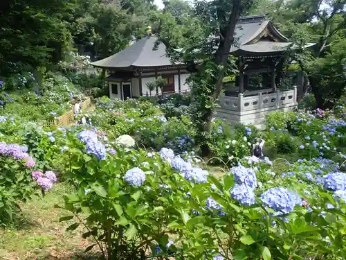 妙楽寺(神奈川県)